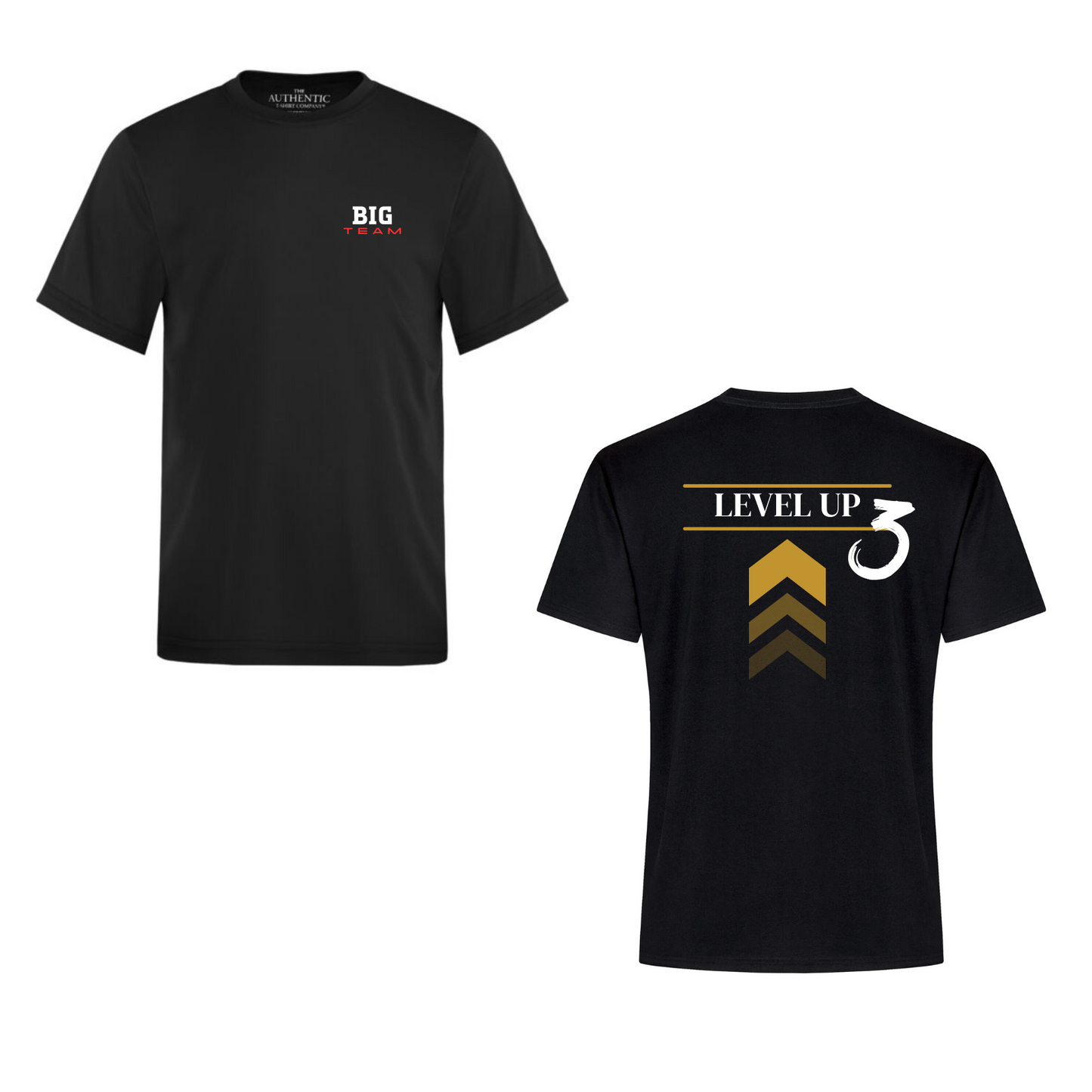 T-shirt Proteam - BIGTEAM (LEVELUP)