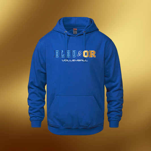 Hoodie Bleu&or 2026